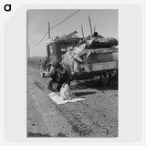 1-44_Dorothea-Lange_picture-crop