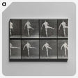 1-44_Eadweard-Muybridge_canvas