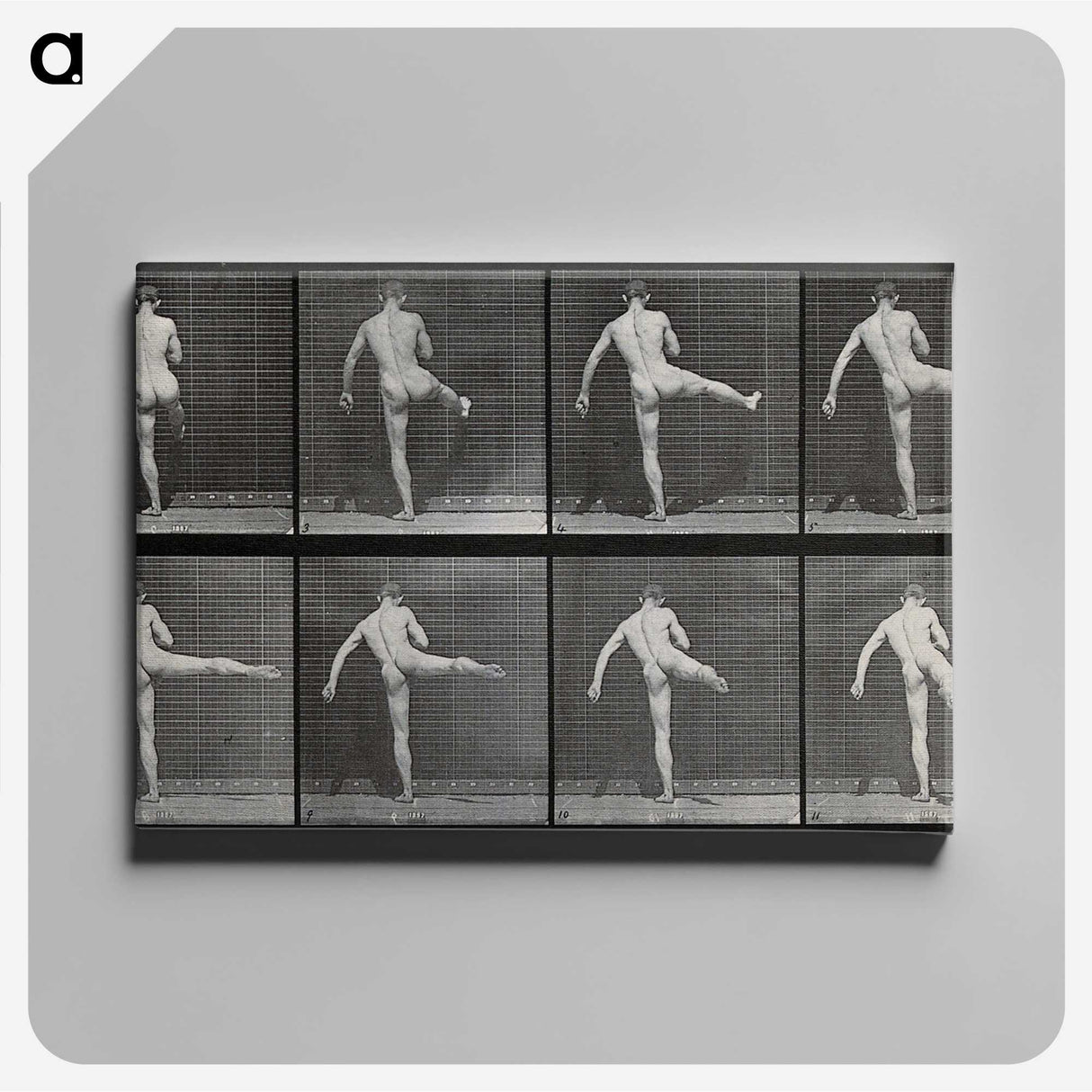 1-44_Eadweard-Muybridge_canvas