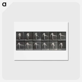 アートポストカード-Ballet in Motion
 - エドワード マイブリッジ Postcard.