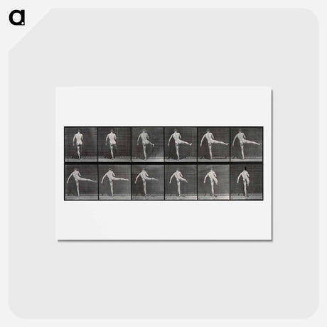 アートポストカード-Ballet in Motion
 - エドワード マイブリッジ Postcard.