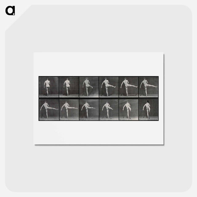 アートポストカード-Ballet in Motion
 - エドワード マイブリッジ Postcard.