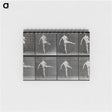 1-44_Eadweard-Muybridge_memo