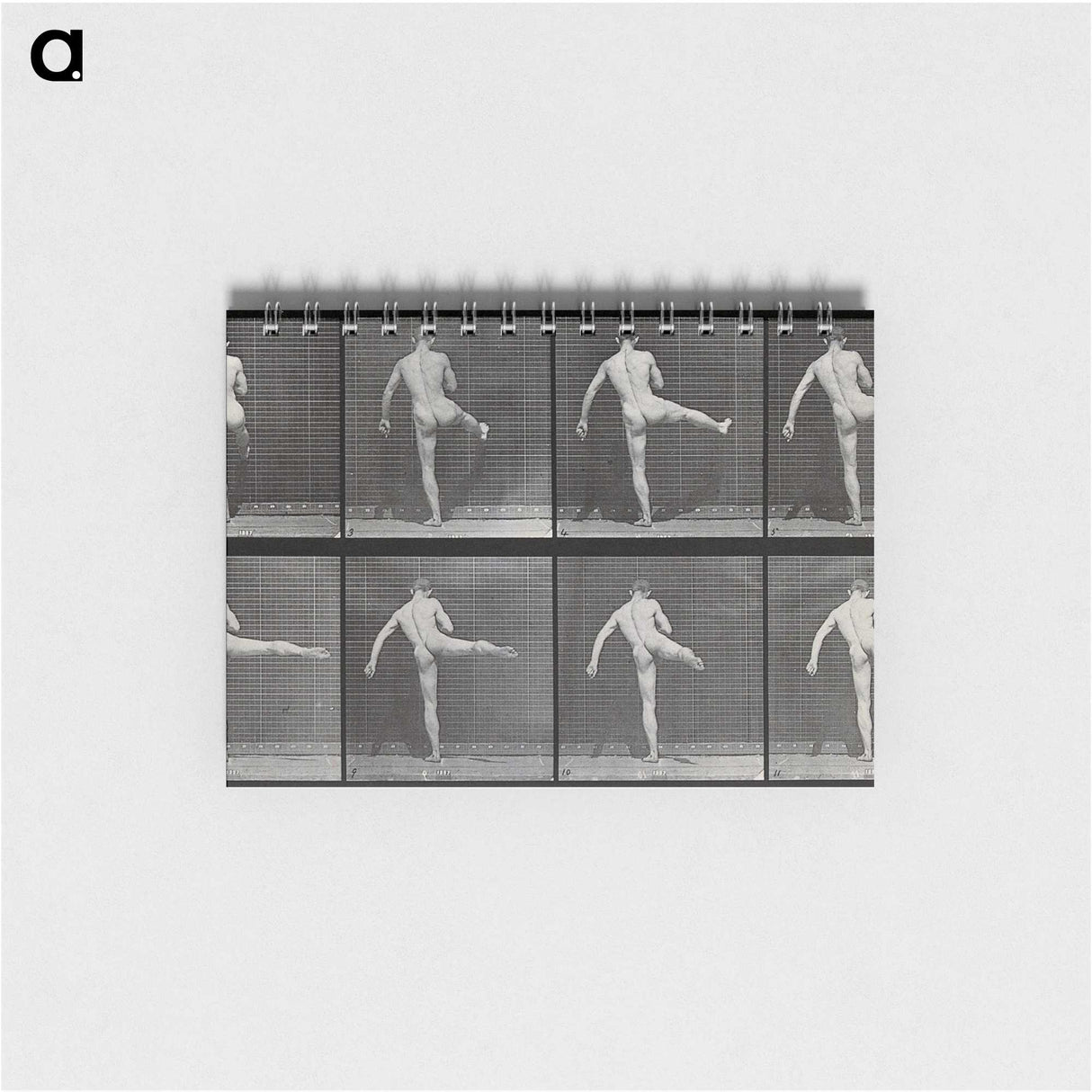 1-44_Eadweard-Muybridge_memo