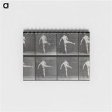 1-44_Eadweard-Muybridge_memo