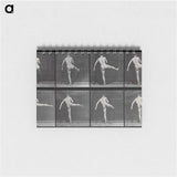 アートメモ帳-Ballet in Motion
 - エドワード マイブリッジ Memo.