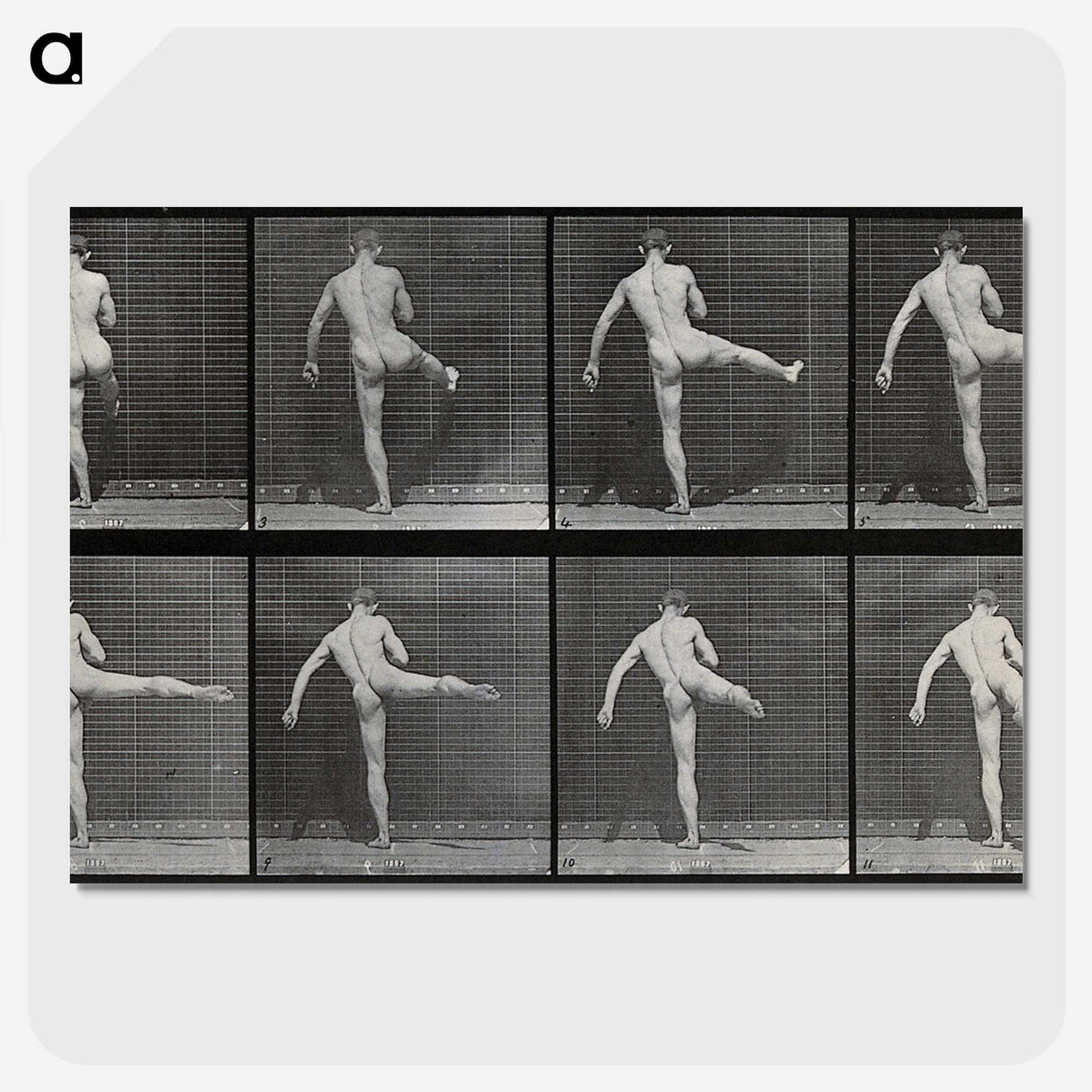 1-44_Eadweard-Muybridge_picture-crop