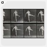 1-44_Eadweard-Muybridge_picture-crop