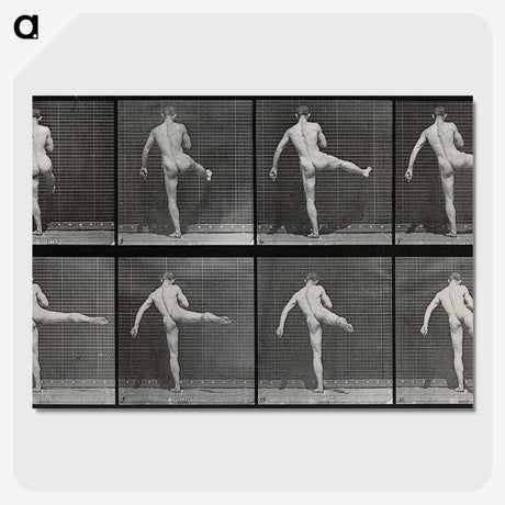 1-44_Eadweard-Muybridge_picture-crop