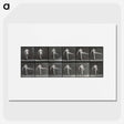 1-44_Eadweard-Muybridge_picture
