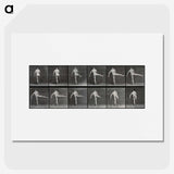 1-44_Eadweard-Muybridge_picture