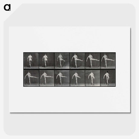 1-44_Eadweard-Muybridge_picture