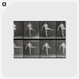 1-44_Eadweard-Muybridge_postcard