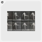 アートポストカード-Ballet in Motion
 - エドワード マイブリッジ Postcard.