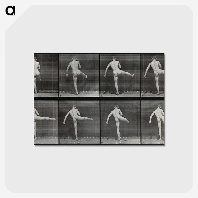 1-44_Eadweard-Muybridge_postcard
