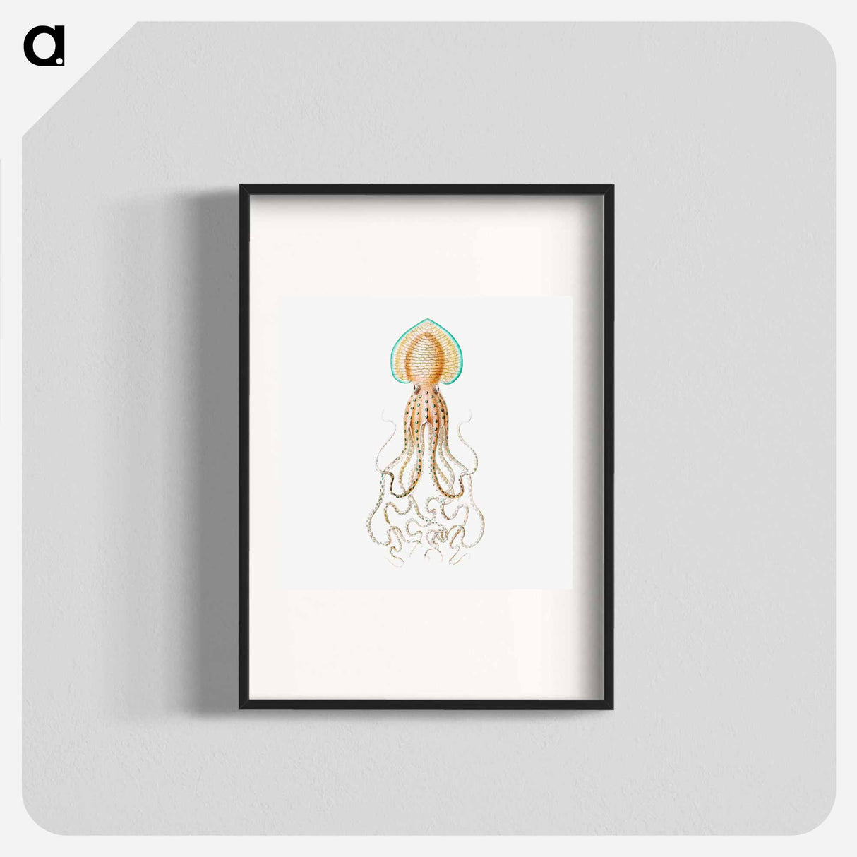 Vintage squid marine life illustration - エルンスト ヘッケル Poster.