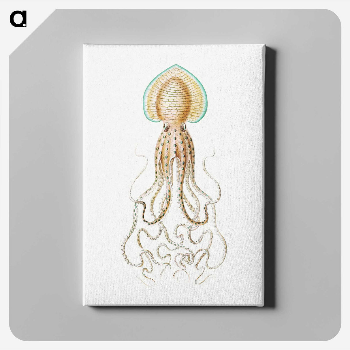 1-44_Ernst-Haeckel_canvas