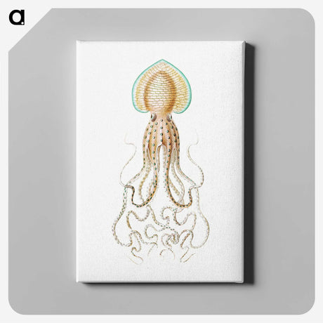 1-44_Ernst-Haeckel_canvas