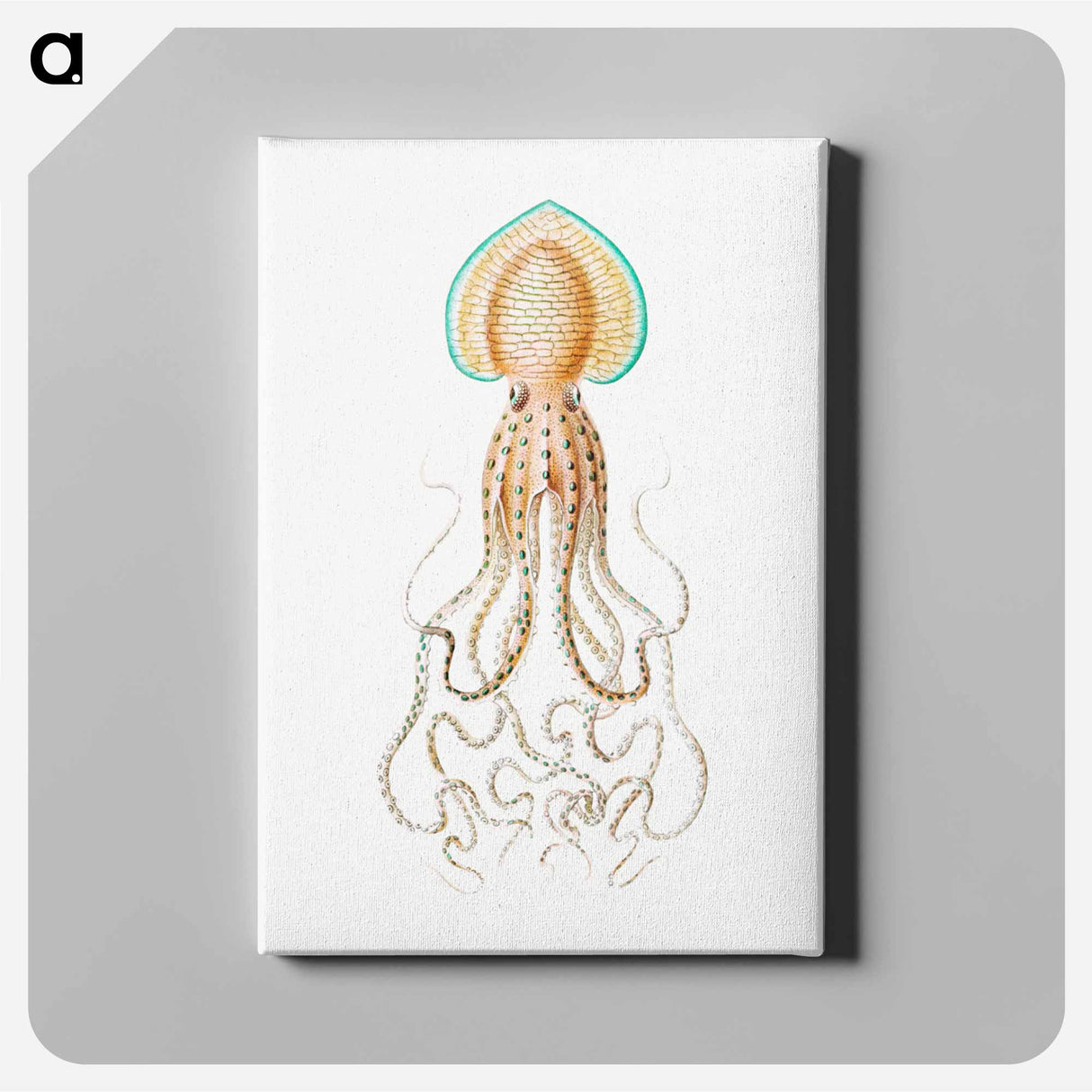 Vintage squid marine life illustration - エルンスト ヘッケル Canvas.