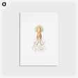 アートポストカード-Vintage squid marine life illustration - エルンスト ヘッケル Postcard.