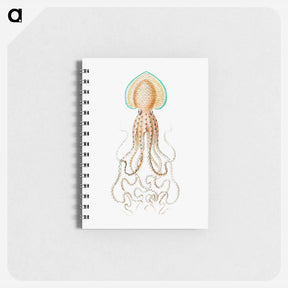 アートメモ帳-Vintage squid marine life illustration - エルンスト ヘッケル Memo.