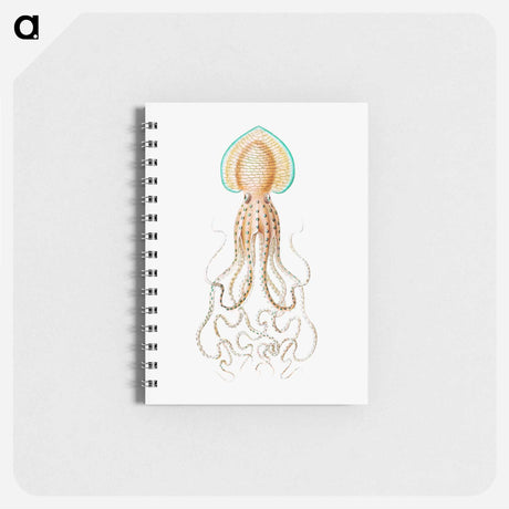 アートメモ帳-Vintage squid marine life illustration - エルンスト ヘッケル Memo.
