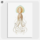 1-44_Ernst-Haeckel_picture-crop