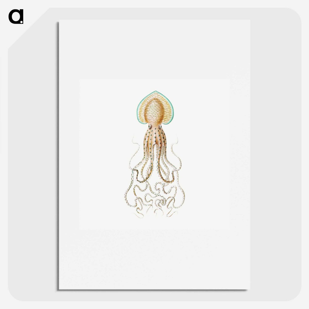 1-44_Ernst-Haeckel_picture