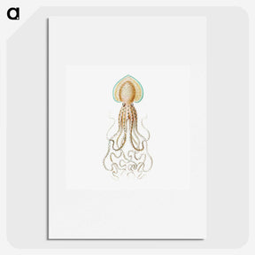 1-44_Ernst-Haeckel_picture