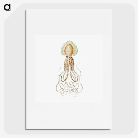1-44_Ernst-Haeckel_picture