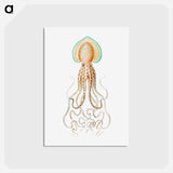 アートポストカード-Vintage squid marine life illustration - エルンスト ヘッケル Postcard.