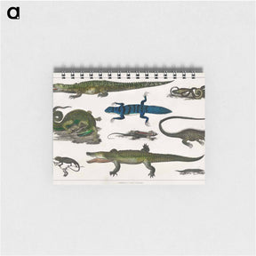 アートメモ帳-Reptiles from Animated Nature
 - ゴールドスミスの生き生きとした自然 Memo.