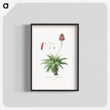 1-44_Histoire-des-Plantes-Grasses_blk