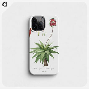 1-44_Histoire-des-Plantes-Grasses_phone