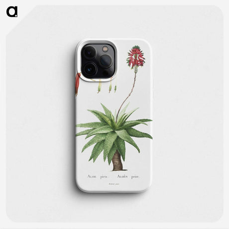 1-44_Histoire-des-Plantes-Grasses_phone