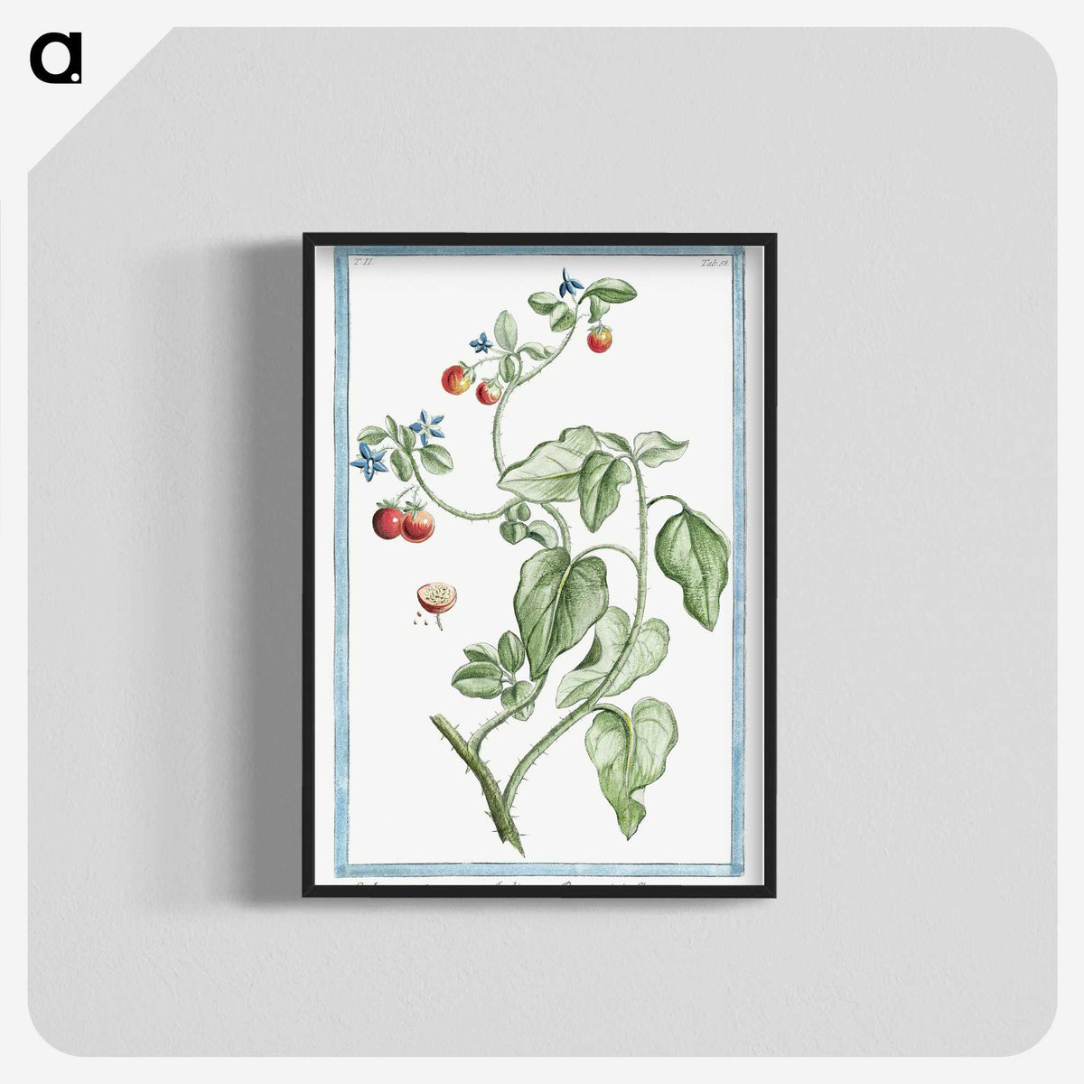 1-44_Hortus-Romanus-Botanical-Plates_blk-crop