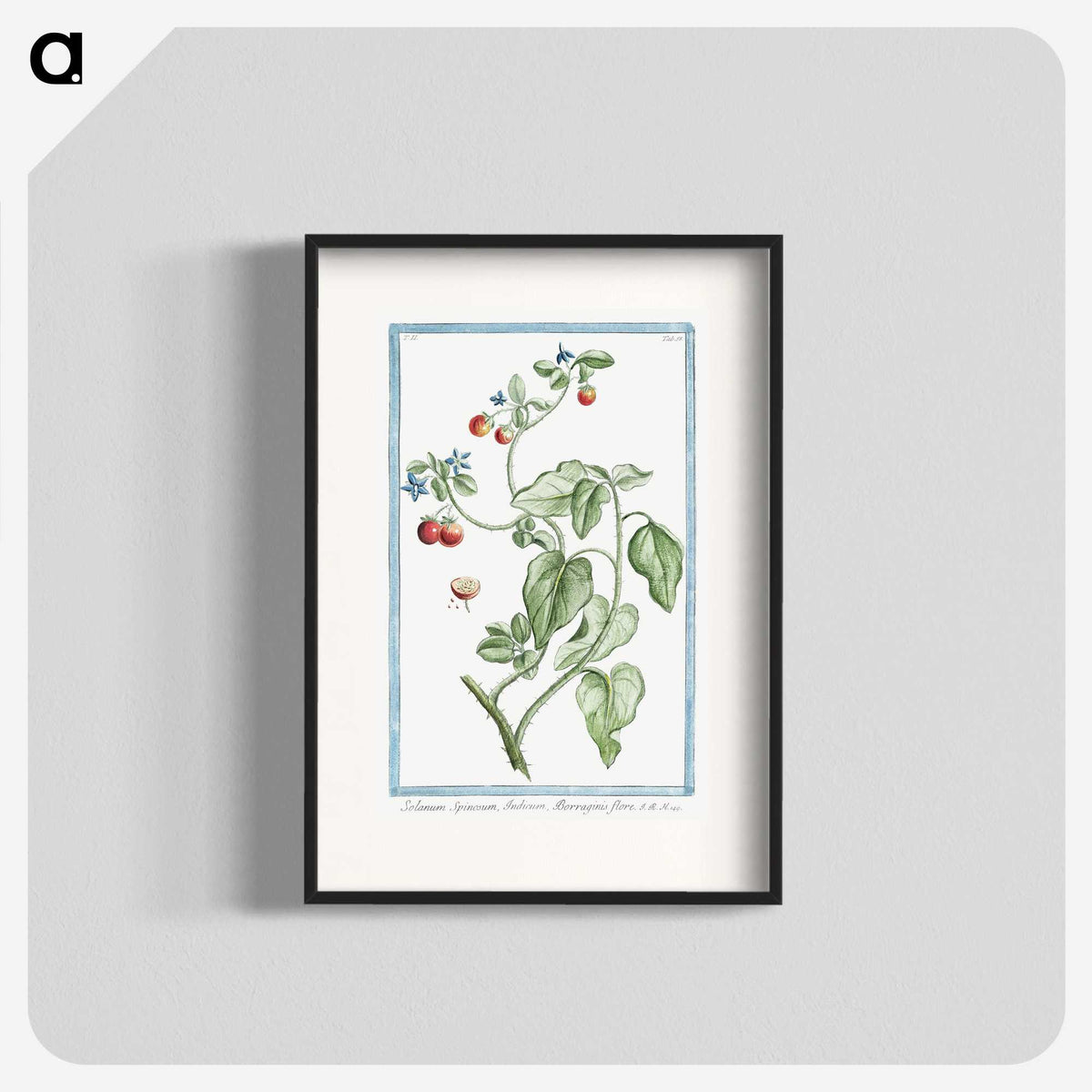 1-44_Hortus-Romanus-Botanical-Plates_blk