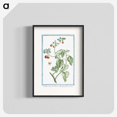 1-44_Hortus-Romanus-Botanical-Plates_blk