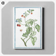 1-44_Hortus-Romanus-Botanical-Plates_canvas