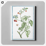 1-44_Hortus-Romanus-Botanical-Plates_canvas