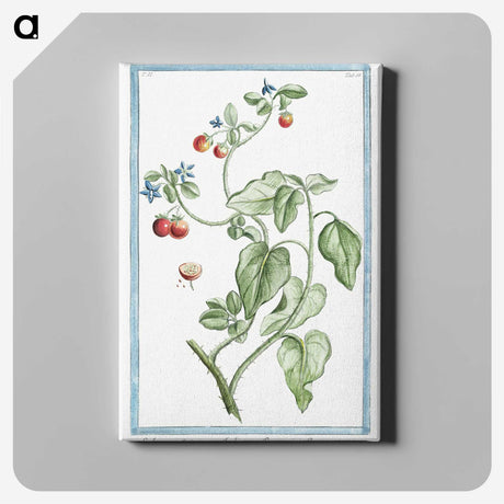 1-44_Hortus-Romanus-Botanical-Plates_canvas
