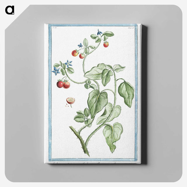 1-44_Hortus-Romanus-Botanical-Plates_canvas
