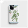 1-44_Hortus-Romanus-Botanical-Plates_phone
