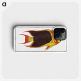 1-44_Ichtyologie-ou-Histoire-naturelle_phone