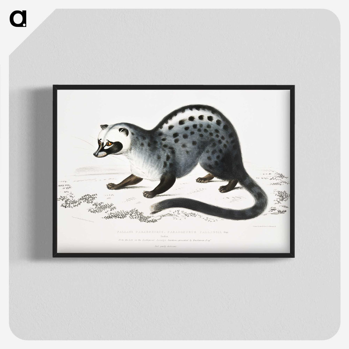 1-44_Indian-Zoology_blk-crop