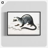 1-44_Indian-Zoology_blk-crop
