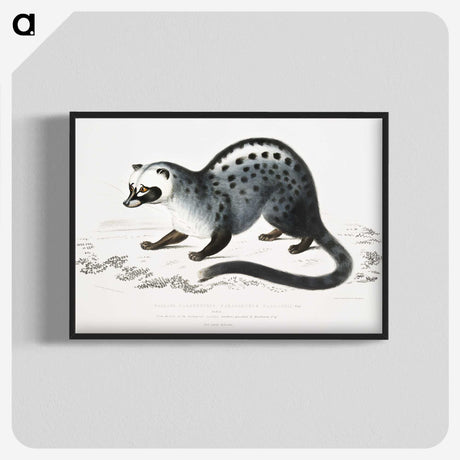 1-44_Indian-Zoology_blk-crop