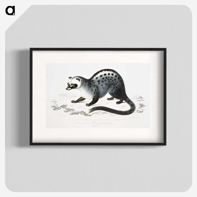 1-44_Indian-Zoology_blk