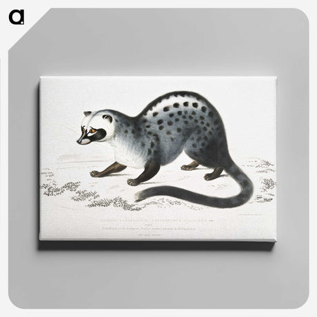 1-44_Indian-Zoology_canvas