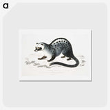 1-44_Indian-Zoology_hagaki